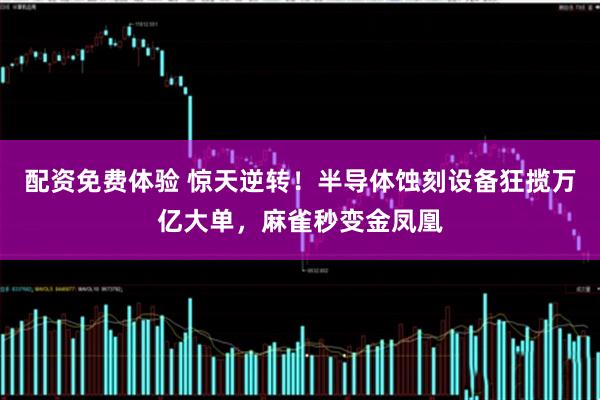 配资免费体验 惊天逆转！半导体蚀刻设备狂揽万亿大单，麻雀秒变金凤凰