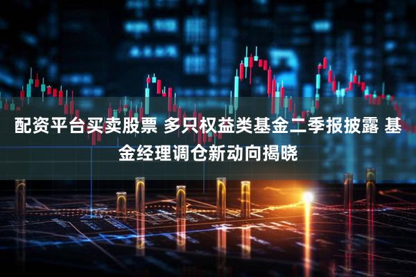 配资平台买卖股票 多只权益类基金二季报披露 基金经理调仓新动向揭晓