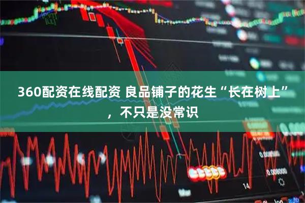 360配资在线配资 良品铺子的花生“长在树上”，不只是没常识