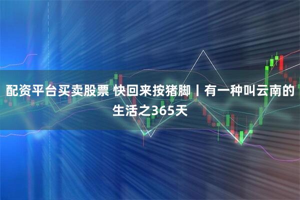 配资平台买卖股票 快回来按猪脚丨有一种叫云南的生活之365天