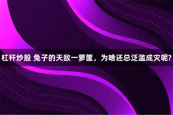 杠杆炒股 兔子的天敌一箩筐，为啥还总泛滥成灾呢?